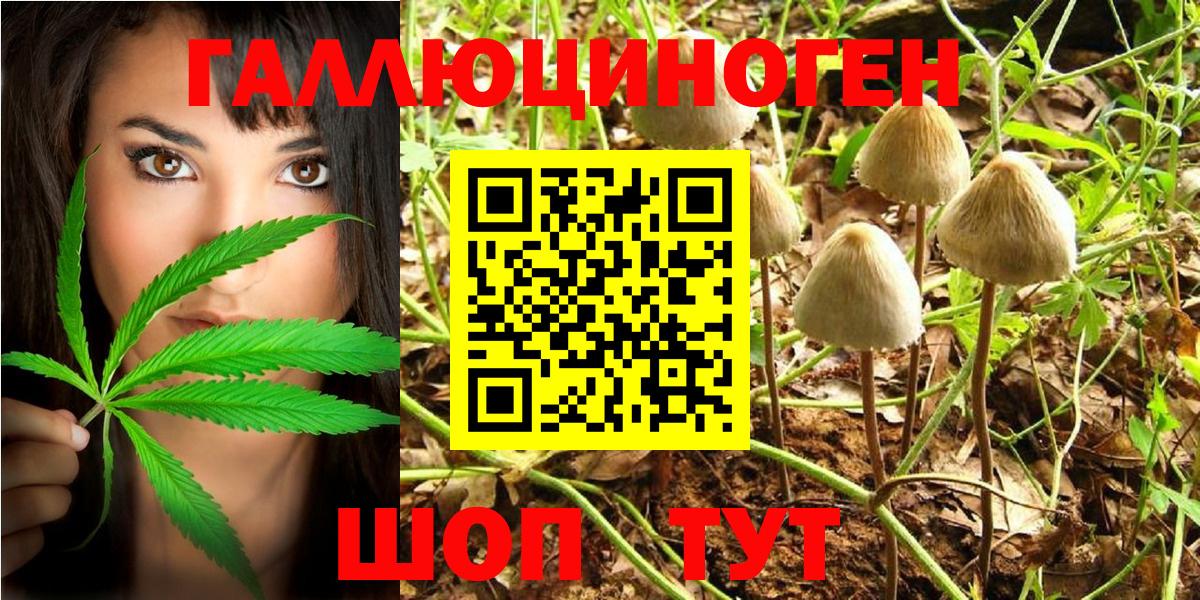 Псилоцибиновые грибы Psilocybe Гагарин