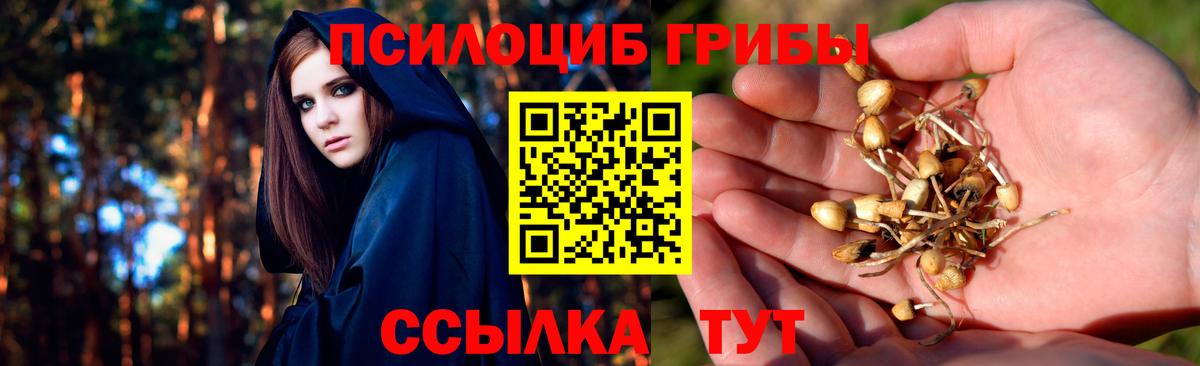 купить   Псилоцибиновые грибы GOLDEN TEACHER  Вход с VPN  Гагарин 